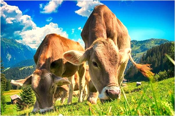 夢到了別人額頭上有他的名字怎么樣_周公解夢官網