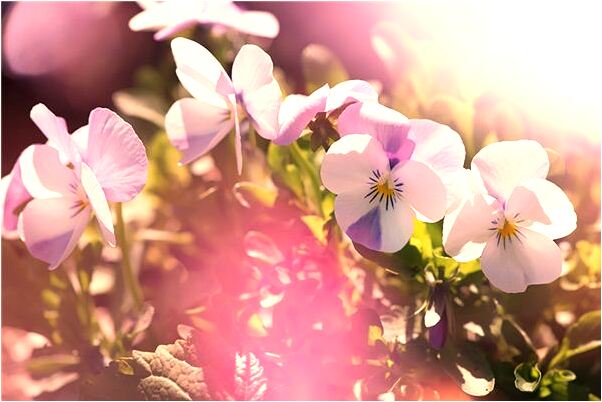 夢到積水過腰有什麼預示嗎_周公解夢官網