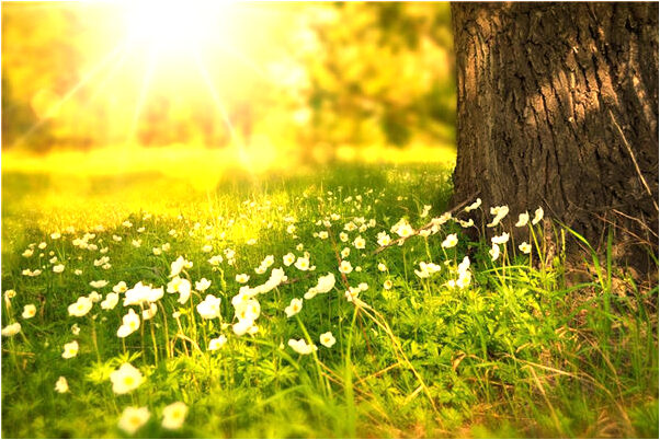 夢到毛線帽子掉地上是什麼意思_周公解夢官網