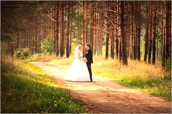 夢見老鼠吃屍體撐死有什麼說法_周公解夢官網