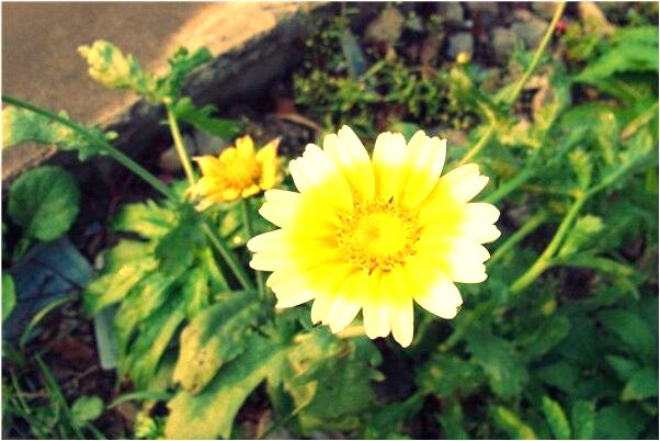 夢到在生意興隆的飯店幫忙好不好_周公解夢官網