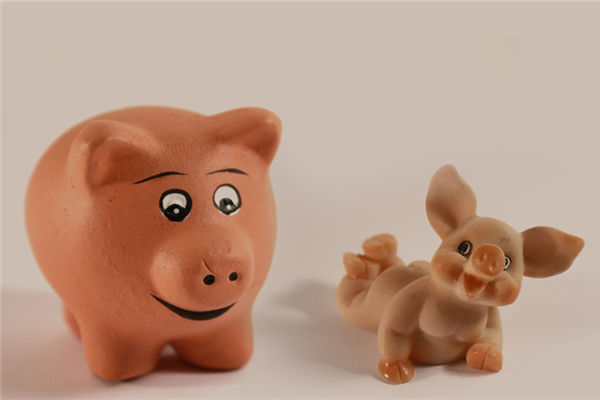 1983年5月屬豬的人事業怎樣_十二生肖