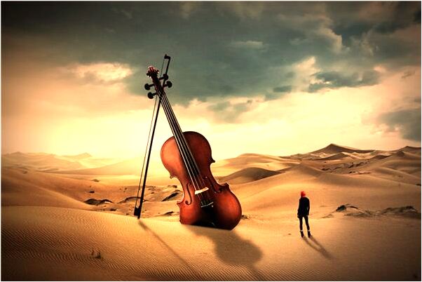 夢到了枯萎的菊花的預兆_周公解夢官網