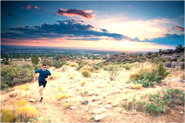 夢見粉色的狗跟著我走是好事還是壞事_周公解夢官網