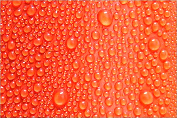 夢到了抓到的魚又丟了有什麼意思嗎_周公解夢官網