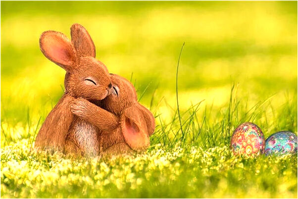 夢到酒水撒身上是什麼啟示_周公解夢官網