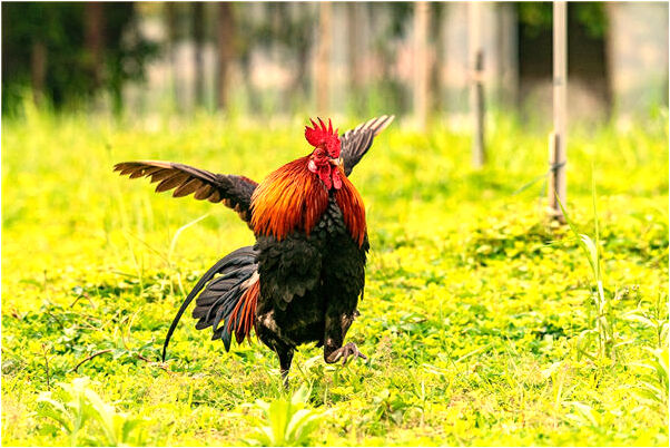 夢到跟情人上床會怎么樣_周公解夢官網