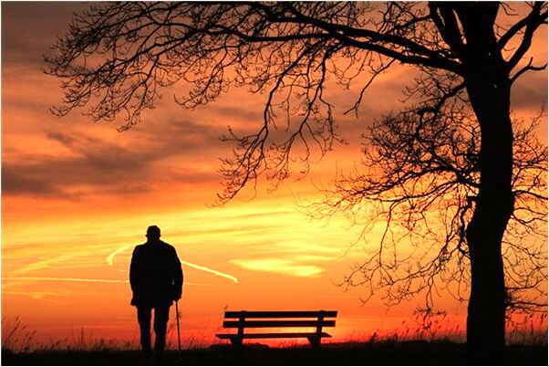 夢見抬棺材佛頭是怎么回事_周公解夢官網