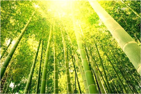 夢到了和媽媽去醫院看病是凶兆還是吉兆_周公解夢官網