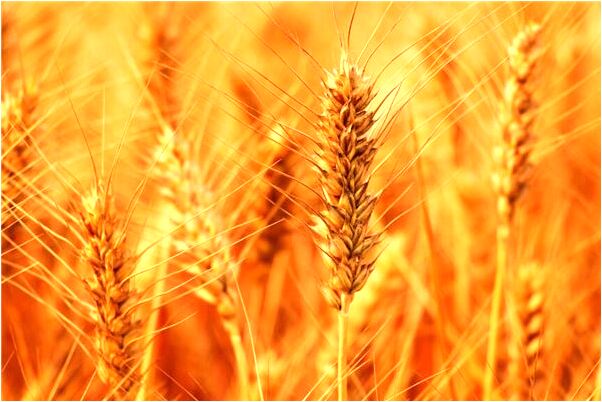 夢見科技創業企業家預示什麼_周公解夢官網