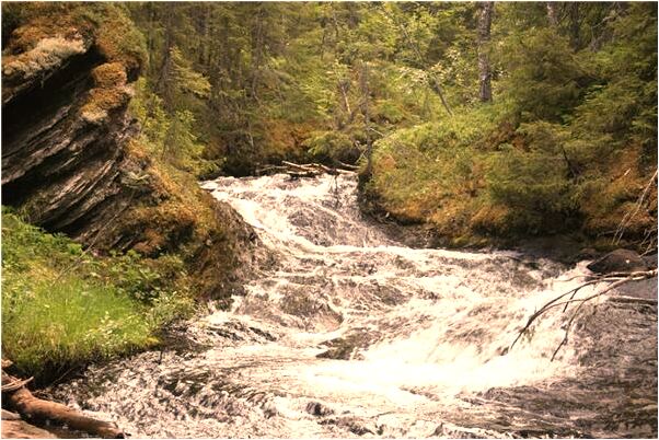 夢見給男朋友送衣服是什麼預兆_周公解夢官網