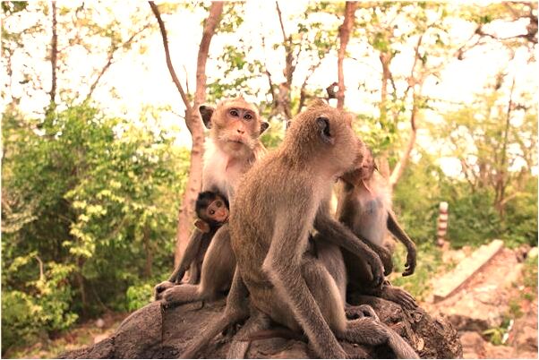 夢到很想和情人做愛是什麼預兆_周公解夢官網