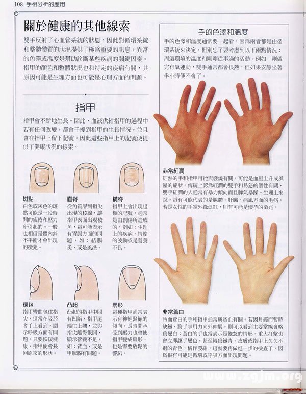 The "palm learning" : your hand and looking at your health