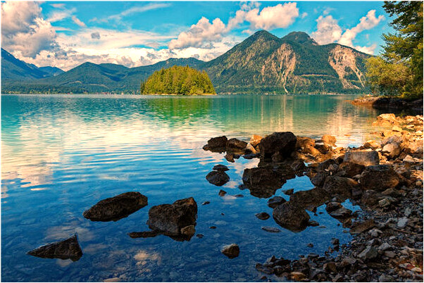 夢到了老虎追貓是吉兆嗎?_周公解夢官網