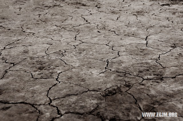 夢見抓兔子被兔子咬_周公解夢夢到抓兔子被兔子咬是什麼意思_做夢夢見抓兔子被兔子咬好不好_周公解夢官網