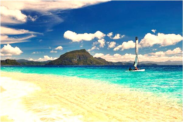 夢見三個蛇頭一個身會怎么樣_周公解夢官網