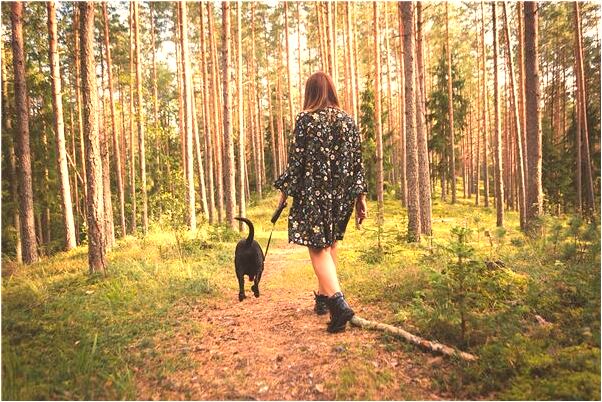 夢到被蛇咬了右臂是好是壞_周公解夢官網