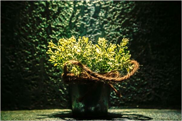 夢到別人家孩子吃我的奶意味著什麼_周公解夢官網