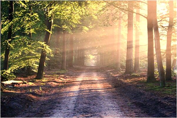 夢到夜裡去走下水道預兆了什麼嗎_周公解夢官網