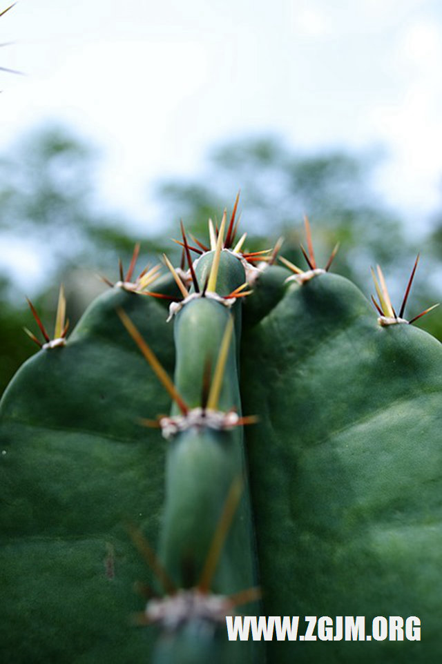 夢見電影院_周公解夢夢到電影院是什麼意思_做夢夢見電影院好不好_周公解夢官網