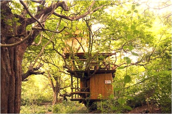 夢見朋友家孩子嚇倒了是啥意思_周公解夢官網