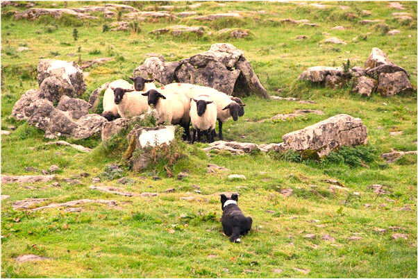 夢到找桌子意味著什麼_周公解夢官網