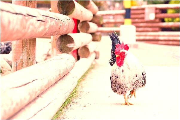 夢到和男人互相親吻臉預示著什麼_周公解夢官網