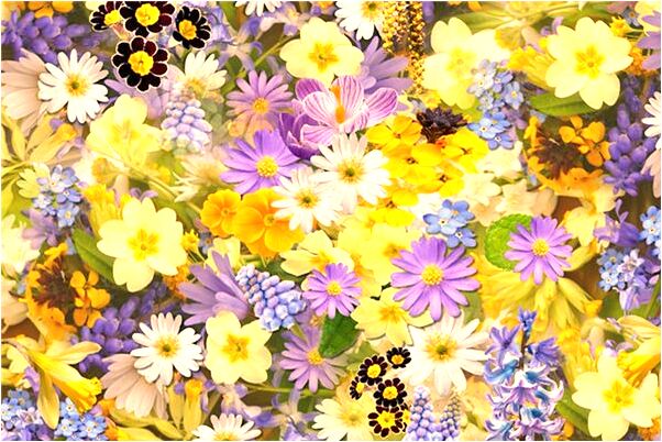 夢見吃夜宵預示了什麼_周公解夢官網