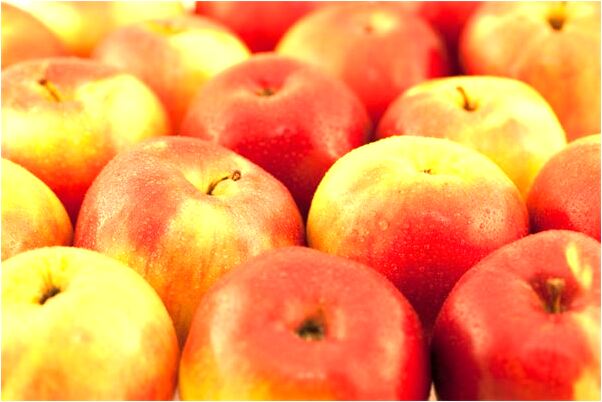 夢到了抓住腹蛇給它賣了是什麼意思_周公解夢官網