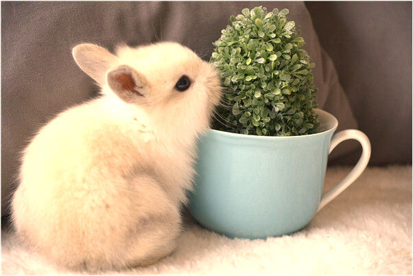 夢到自己雙手戴銀鐲子意味著什麼_周公解夢官網