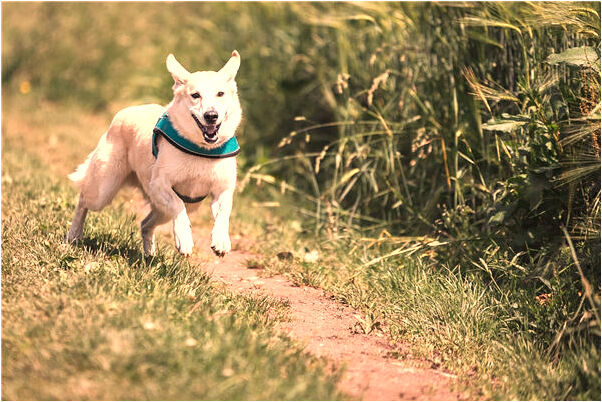 夢到手飾斷裂會是什麼預兆_周公解夢官網