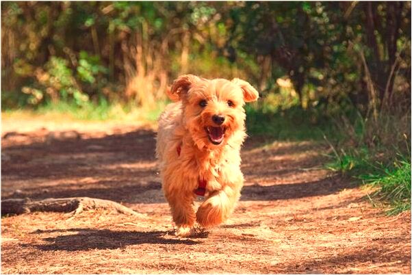 夢到了姐和我說把鞋子放到網上賣是什麼兆頭_周公解夢官網