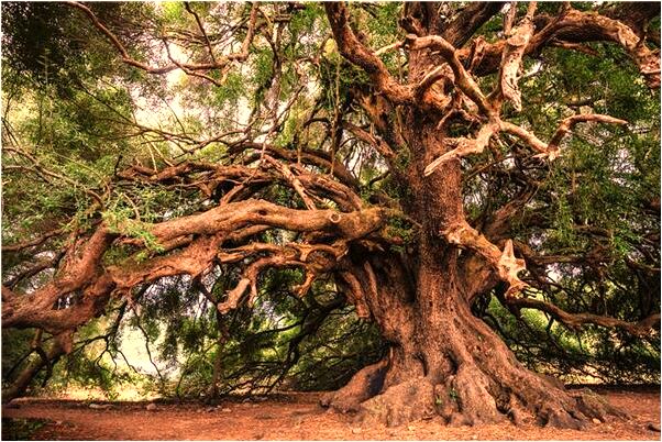 夢到了用手從公廁撈東西是啥預兆_周公解夢官網