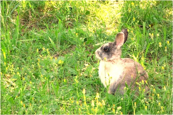 夢到了幫別人拍涽紗照代表著什麼_周公解夢官網