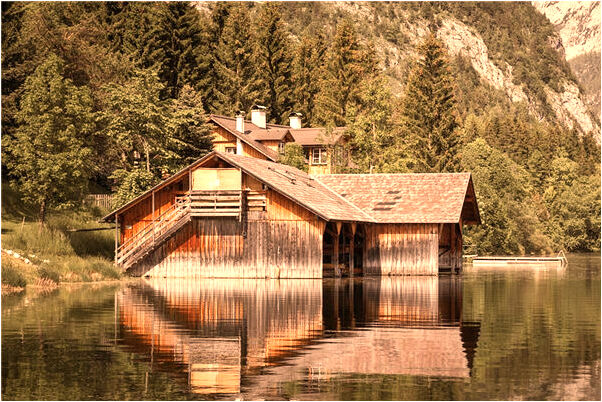 夢到了被怪魚嚇到有什麼徵兆_周公解夢官網