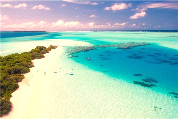 夢到了男人喝水意味什麼_周公解夢官網