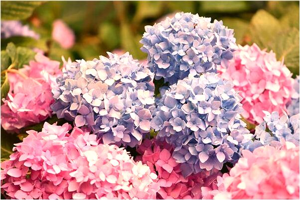 夢見在交外躲避二個人怎么說_周公解夢官網