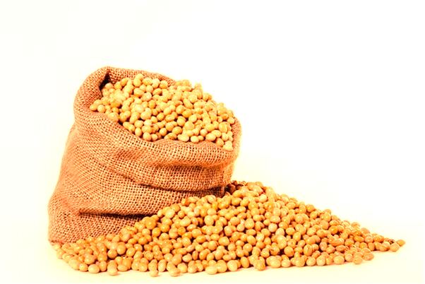 夢見園月高掛並聽到喜鵲的叫聲會是什麼預兆_周公解夢官網