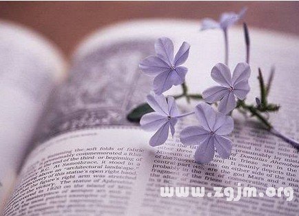 哪些星座最愛吃醋_十二星座