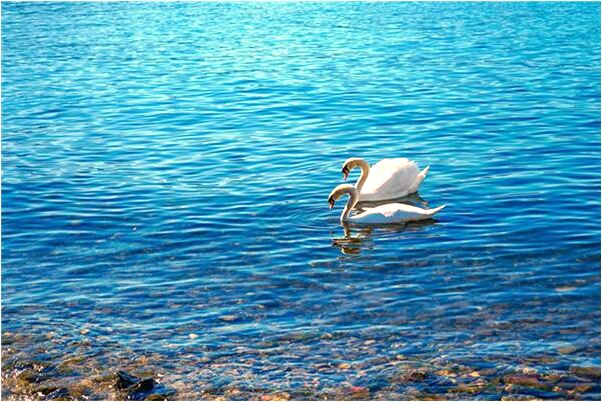 夢到漫天大米肉落到地上有什麼寓意嗎_周公解夢官網