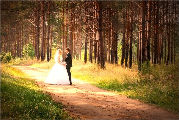 夢到了櫻桃樹結滿櫻桃預示什麼_周公解夢官網