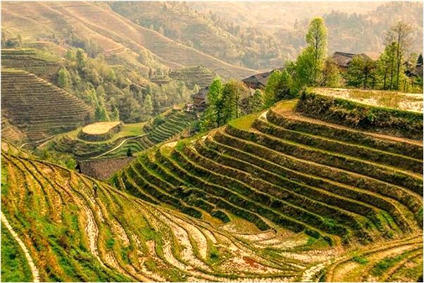 夢到老婆和我的情人吵架是什麼意思_周公解夢官網