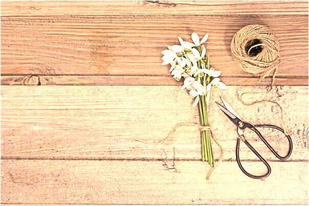 夢見踢開沙子意味著什麼_周公解夢官網