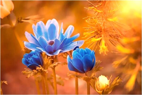 夢見在女人赤裸上體做運怎么樣_周公解夢官網