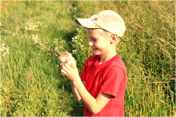 夢見找碗發現碗都是破的有什麼預示嗎_周公解夢官網