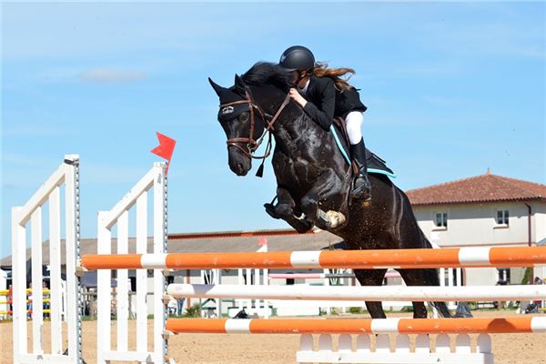 做夢騎馬奔跑什麼預兆_周公解夢