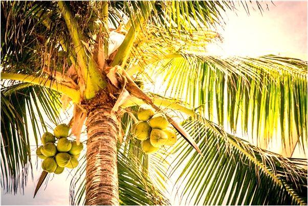 夢到了自己拿刀捅了自己什麼預兆_周公解夢官網