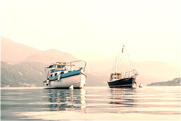 夢到剝皮大蒜有什麼說法_周公解夢官網