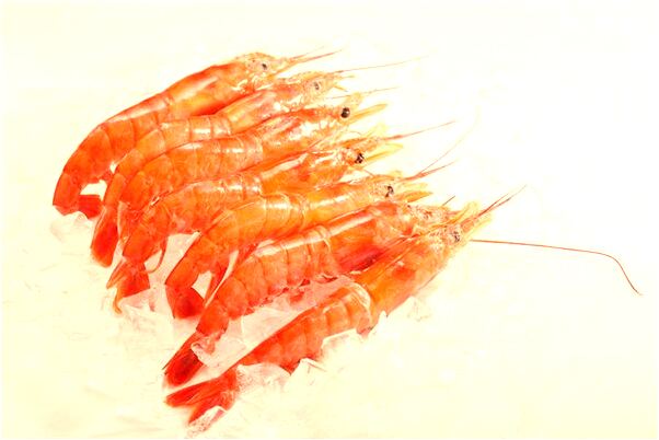 夢到了客車載人翻車有什麼寓意嗎？_周公解夢官網