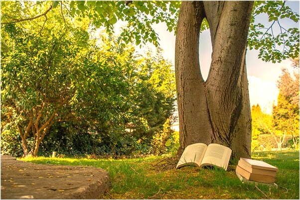 夢到混天綾是什麼意思？_周公解夢官網